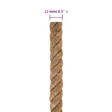 vidaXL Corde 100 % jute 10 mm 100 m