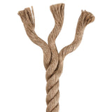 vidaXL Corde 100 % jute 10 mm 100 m