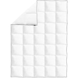 vidaXL Couette en duvet d'hiver 200 x 200 cm