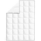 vidaXL Couette en duvet d'hiver 200 x 200 cm