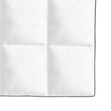 vidaXL Couette en duvet d'hiver 200 x 200 cm