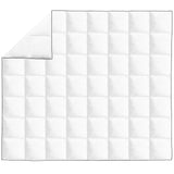 vidaXL Couette en duvet d'hiver 200 x 200 cm