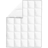 vidaXL Couette en duvet d'hiver 200 x 200 cm