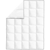 vidaXL Couette en duvet d'hiver 200 x 200 cm