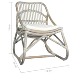 vidaXL Chaise en rotin Gris Lin