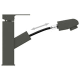 vidaXL Robinet de lavabo rétractable de bain Argenté 157x172 mm