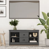 vidaXL Meuble TV Noir 103x36,5x52 cm Bois de pin massif