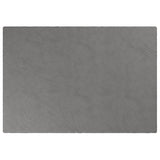 vidaXL Couverture lestée avec housse Gris 200x230 cm 13 kg Tissu