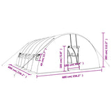 vidaXL Serre avec cadre en acier blanc 36 m² 6x6x2,85 m