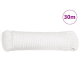 vidaXL Ancre pliable avec corde argenté 10 kg fer malléable